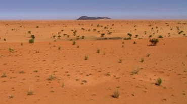 沙漠中绿洲草本植物水源地实拍视频素材