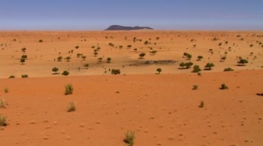 沙漠中绿洲草本植物水源地实拍视频素材