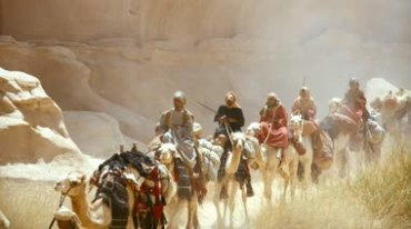骆驼商帮队伍商队运输大队实拍视频素材