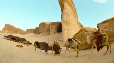 骆驼商帮队伍商队运输大队实拍视频素材