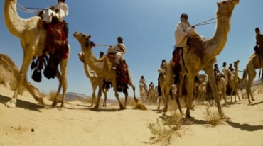 沙漠骑行骆驼队伍仰拍视频素材
