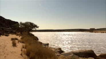 沙漠里湖泊水源干涸荒漠实拍视频素材