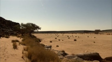 沙漠里湖泊水源干涸荒漠实拍视频素材
