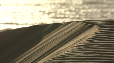 阳光照射沙漠沙粒沙丘沙坡实拍视频素材
