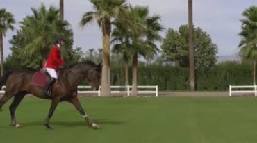 优美的马术表演骑马运动赛场骏马实拍视频素材