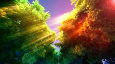 清晨七彩阳光穿过树梢树阴(有音乐)视频素材