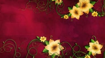 红布绸缎背景古典花纹鲜花动态生长视频素材