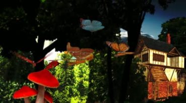 森林阳光蝴蝶飞舞视频素材