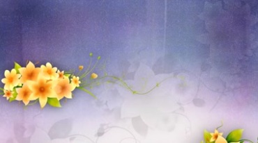 黄色花朵鲜花动态生长开花蓝色粒子背景视频素材