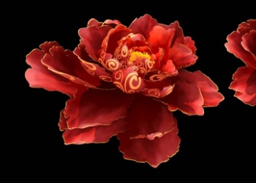红牡丹花慢慢绽放开花动画过程黑屏抠像特效视频素材