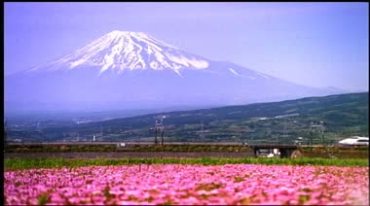 日本新干线列车在富士山下行驶的美景视频素材