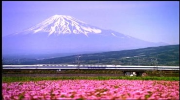 日本新干线列车在富士山下行驶的美景视频素材