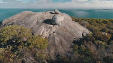 澳大利亚悉尼自然风景动物延时摄影视频素材