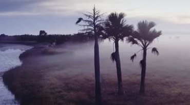澳大利亚震撼的沙滩雨林自然风景实拍视频素材