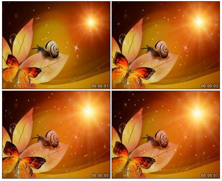 蜗牛树叶蝴蝶光效Led背景视频素材