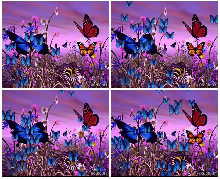 美丽彩色蝴蝶Led背景视频素材