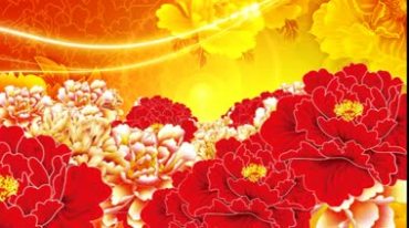 大气牡丹花国花中国风花开盛开Led视频素材