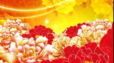 大气牡丹花国花中国风花开盛开Led视频素材