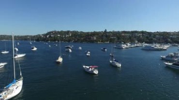 航拍悉尼美丽壮观视频素材