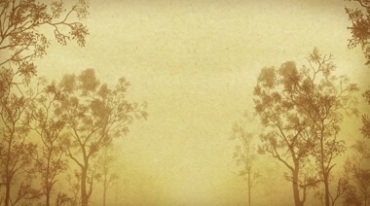 怀旧回忆昏黄迷雾中的树木道路两旁的大树视频素材