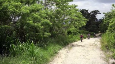 野外骑山地自行车运动实拍视频素材