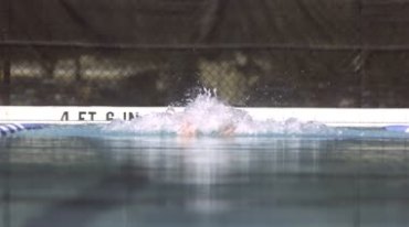 泳池中游泳男子蝶泳实拍视频素材