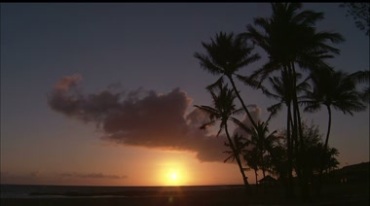 夕阳下的海岸彩霞映着的海滩椰子树实拍视频素材