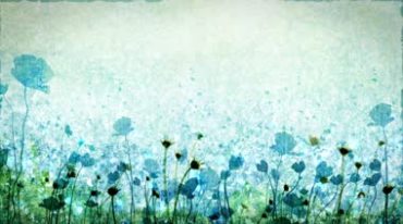 斑斓印象花朵植物植株Led动态背景视频素材