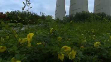 湛江人文风景海滨城市面貌建筑交通实拍视频素材