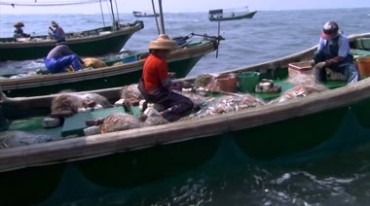 湛江硇洲岛渔港渔船渔民出海打鱼捕虾实拍视频素材