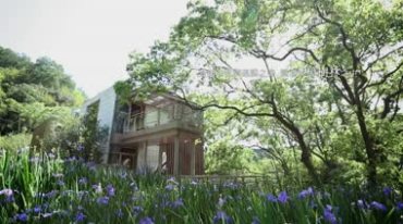 休闲度假书屋树林酒店美丽风景形象宣传片视频素材