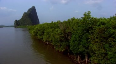 湖泊河流湖水树林实拍视频素材