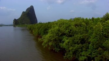 湖泊河流湖水树林实拍视频素材