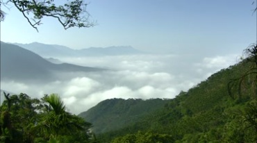绿山青山山峰和云海全景实拍视频素材