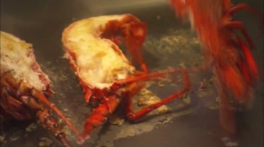 大龙虾西餐铁板油煎酒店现场制作实拍视频素材