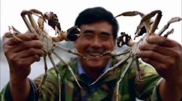 中华大闸蟹螃蟹美食实拍视频素材