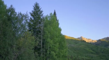 山坡树林太阳光照射影子移动实拍视频素材