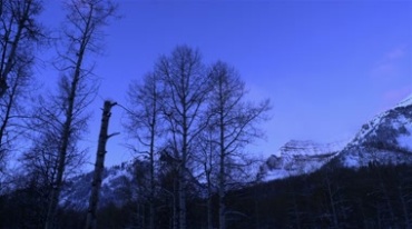 山脚树林太阳落山日暮天空渐暗景象视频素材