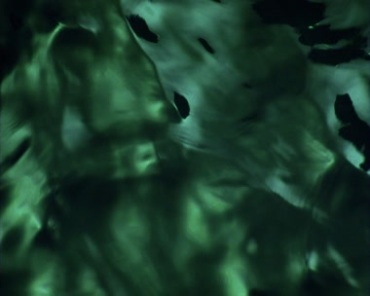 绿色抽象气体动态变化特效视频素材