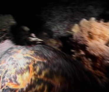 大海龟在海底游动潜水实拍视频素材