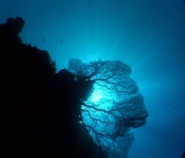 蓝色海底有光源射入光效视频素材