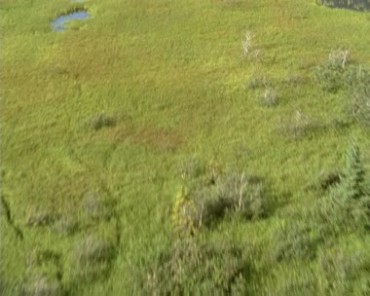 无人机航拍俯拍草地草坪视频素材