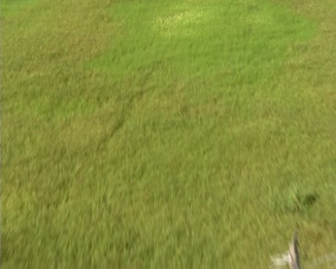 无人机航拍俯拍草地草坪视频素材