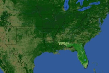 美国佛罗里达州卫星地图轮廓视频素材