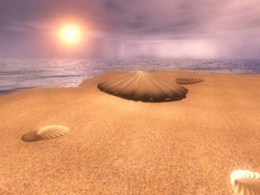 海滩沙滩贝壳打开两支玫瑰花动态背景视频素材
