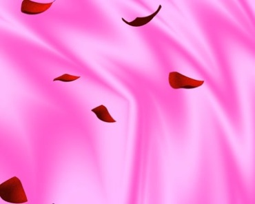 红色玫瑰花瓣落花动态特效视频素材