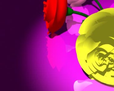 玫瑰花朵鲜花爱情婚庆动态背景视频素材
