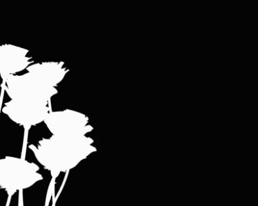 黑白花朵花柱动态特效视频素材
