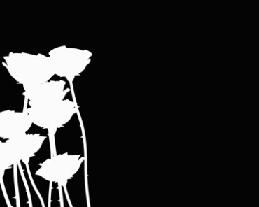 黑白花朵花柱动态特效视频素材