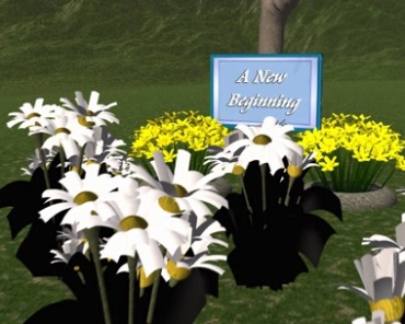 一个新的开始花朵鲜花场景视频素材